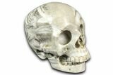 Realistic, Light Coquina Stone Skull #382130-1